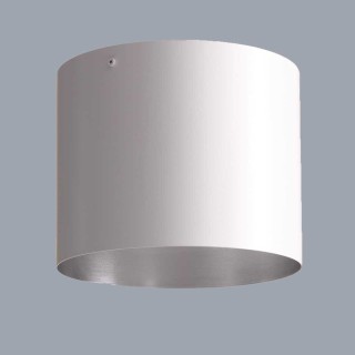 Annex L plafondlamp - opaal